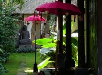 Villa Bamboo, Garten Detail